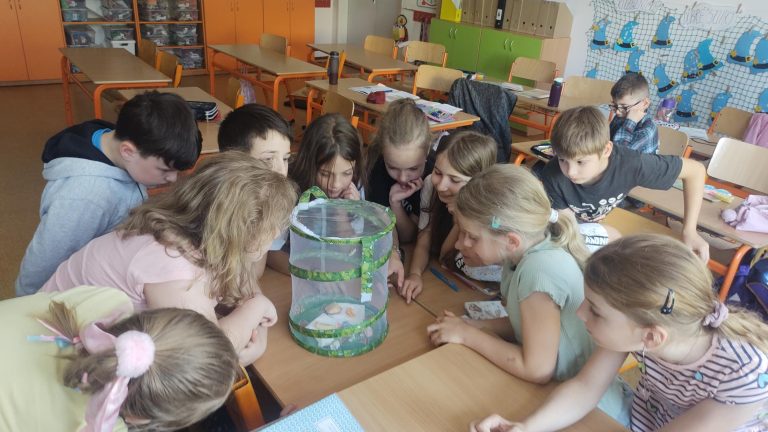 Kúzelný zrod motýľa v ZŠ Pri kríži