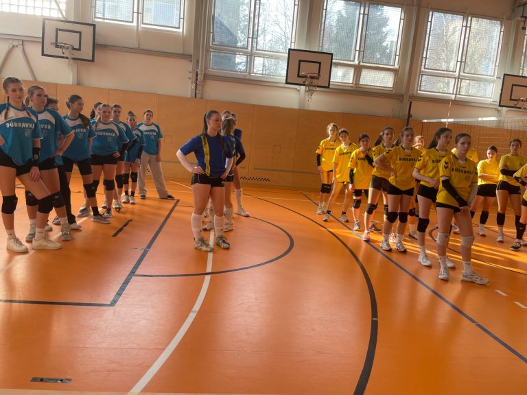 Volejbal