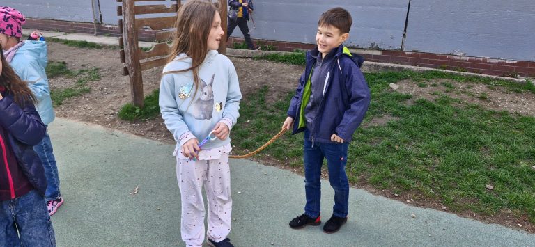 Šibačkový program